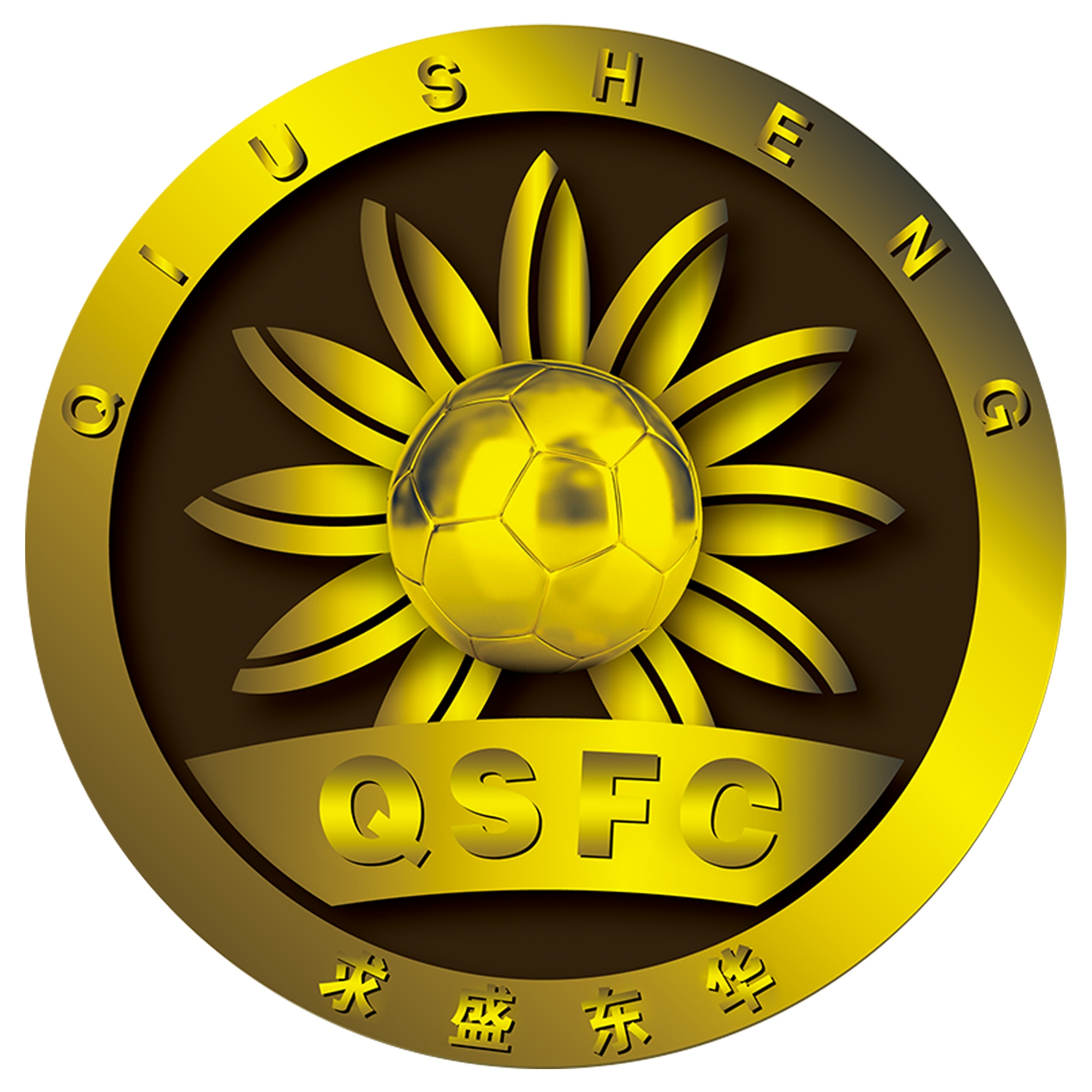 上海求盛东华女足队标,上海求盛东华女足图片